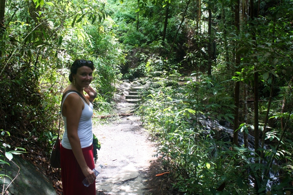 Hiking Through the Rainforest of Penang